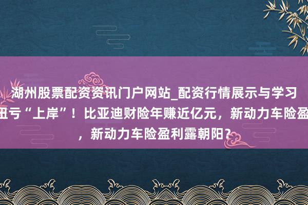 湖州股票配资资讯门户网站_配资行情展示与学习内容解析 扭亏“上岸”！比亚迪财险年赚近亿元，新动力车险盈利露朝阳？
