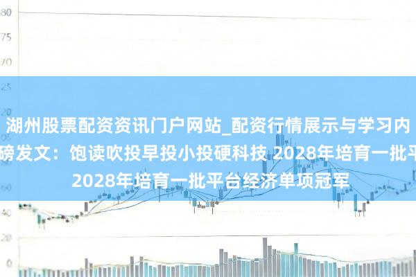 湖州股票配资资讯门户网站_配资行情展示与学习内容解析 七部门重磅发文：饱读吹投早投小投硬科技 2028年培育一批平台经济单项冠军