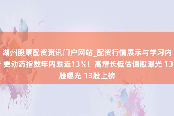 湖州股票配资资讯门户网站_配资行情展示与学习内容解析 更动药指数年内跌近13%！高增长低估值股曝光 13股上榜